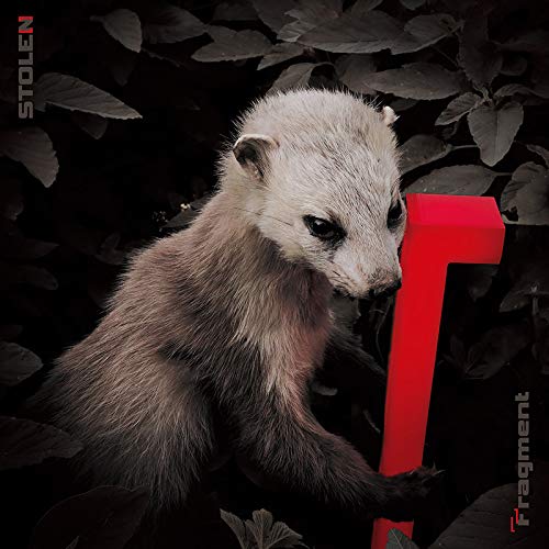 Fragment (通常盤)