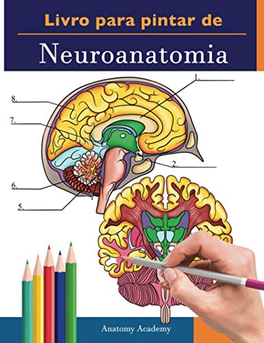 Livro para pintar de Neuroanatomia: Livro para colorir muito detalhado para a neurociência | O presente perfeito para estudantes de medicina, enfermeiros, médicos e adultos