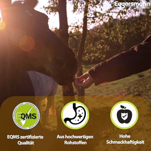 Eggersmann Mein Pferdefutter 1kg Pferde-Leckerlis | Lecker Bricks für Pferde & Ponys | Getreidefrei & kalorienarm | Perfekt als Belohnung & für zwischendurch | Höchste Qualität | Pferde-Zubehör