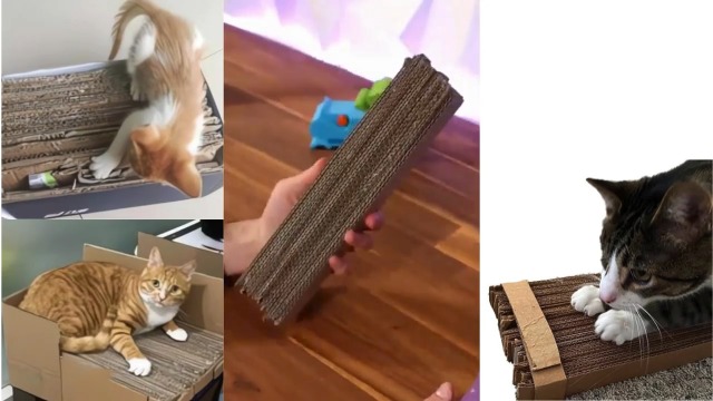 Kratzkokon Für Katzen Mit Ball - 4-in-1 Kratzbrett Spielzeug Aus Recyclingkarton