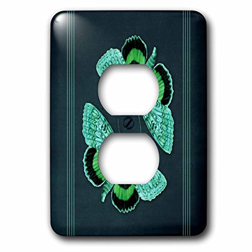 Cache-sortie texturé plaque d'interrupteur mural design 3dRose LSP_53911_6 - 2