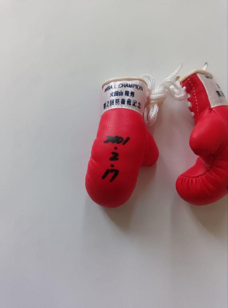 Amazon.co.jp: 畑山隆則 ボクシングミニグローブ : ホビー