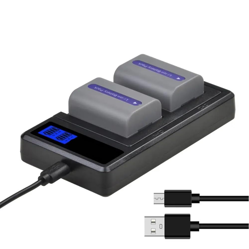 NP-FP50 NP FP50 NPFP50 Batería y cargador | Compatible con Sony, NP-FP30 NP-FP50 NP-FP60 NP-FP70 NP-FP71 NP-FP90, DCR-SX40 SX40R.(3Pc set)