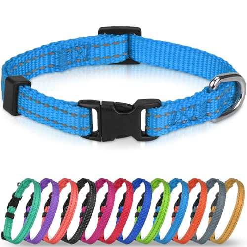 Joytale Puppy Collar, Feather-Light Double-Sided Reflective Nylon Collar for Night Safety, Adjustable Quick-Release for Extra Small Dogs, Sky Blue, XS (3/8" Width)