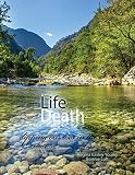 Life/Death: Dipping Our Toes in the Water