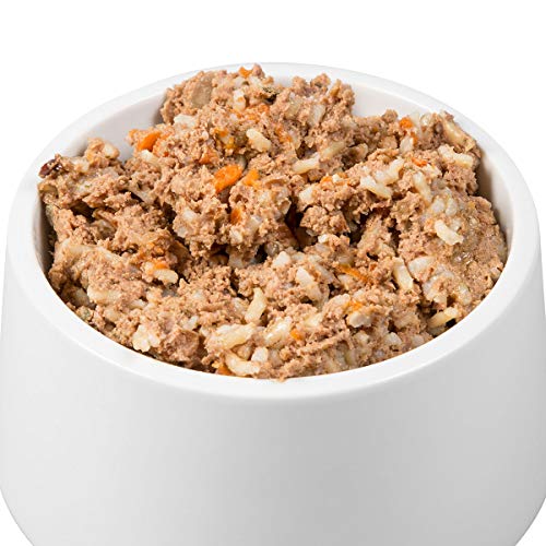Sanoro Menü Classic Bio-Pute mit 55% Fleischanteil - Premium Hundefutter in Bio-Qualität - Bio-Pute mit Bio-Naturreis, Bio-Karotte, Bio-Birne und Bio-Zucchini - singleprotein (12 x 400g)