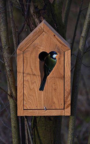Luxus-Vogelhaus 46760e Designer Nistkasten für Vögel, aus Holz (Eiche, Massivholz), für Garten, Balkon, mit Spitzdach… – Bild 5