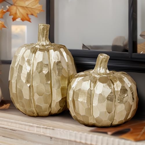 AELS 5.9' Tall Modern Pumpkins Fall Decor Indoor, Set of 2 Elegant Tabletop Decorations, Resin Artificial Pumpkins Decor for Fall Table Runner, Office, Holiday Party Home, Golden