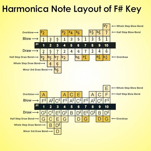 Diatonic Harmonica of F sharp Key,Blues Mouth Organ 10 Hole 20 Tones, Reed of Phosphor Bronze, ABS Combo, Easy-Clean Cover,10 Hole Blues Harp for Adult, Beginner - Les Beatles, Paul McCartney, John Lennon, RIngo Starr, George Harrison Diatonic Harmonica of F sharp Key,Blues Mouth Organ 10 Hole 20 Tones, Reed of Phosphor Bronze, ABS Combo, Easy-Clean Cover,10 Hole Blues Harp for Adult, Beginner – Image 6