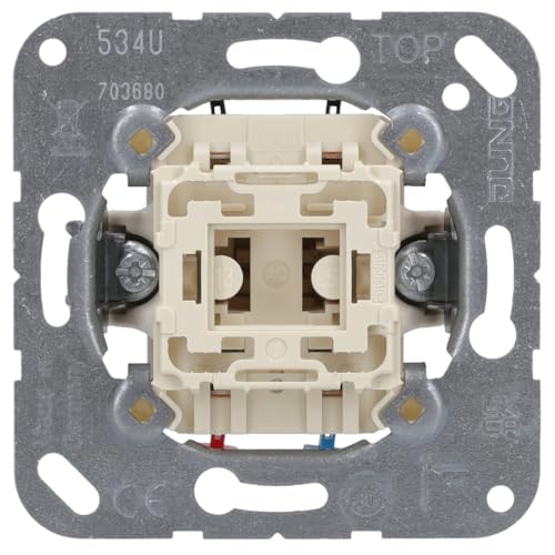 Jung Taster 10AX 250V 534 U