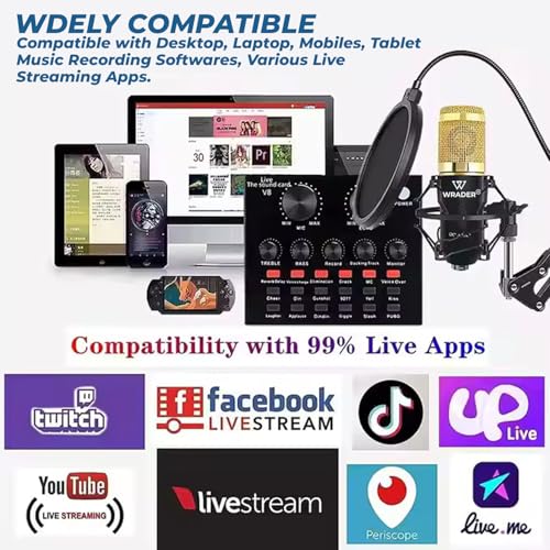 Image of Condenser Microphone Full Setup with Sound Card for Podcast Recording, Singing, Voice Capturing, YouTube Videos, Interviews Recorder Microphones (Black, V8 Sound Card, BM800 Mic)