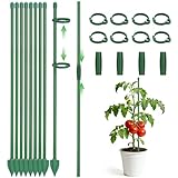 KINGLAKE 40cm Pflanzenstütze, Pflanzstäbe Rankhilfe Zimmer mit Clips, Einstellbar Pflanzenhalter Blumenstütze, Rankstäbe für Tomaten Monstera Orchideen Rosen-8 Stück