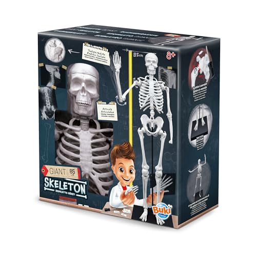 BUKI 2181 Esqueleto gigante 85 cm