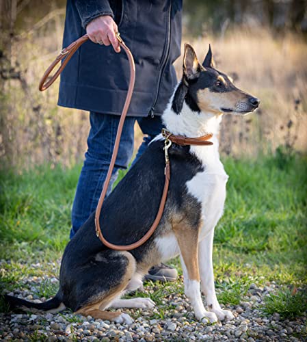 Hundeleine Leder 2,0m Premium Rund-Lederleine mit Edelstahl-Karabiner, Hunde Führleine mehrfach verstellbar - Francis (Braun)