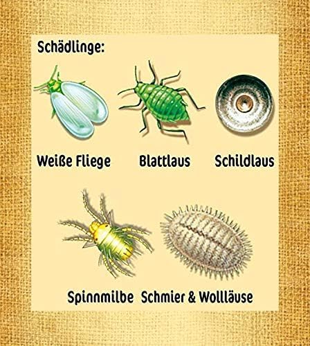 Substral Naturen Bio Schädlingsfrei Obst- u Gemüse Konzentrat geg. Blattlaus, Spinnmilbe, weiße Fliege, etc, 500ml
