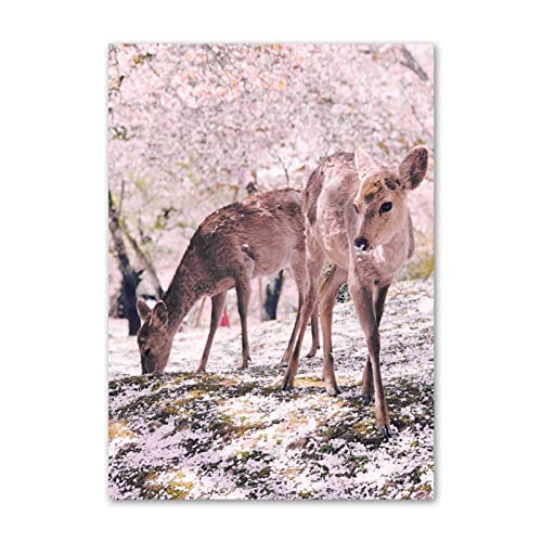 Cadre Japon Sakura pour habiller un mur vide avec un poster zen de Fuji 50x70cm
