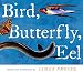 Bird, Butterfly, Eel
