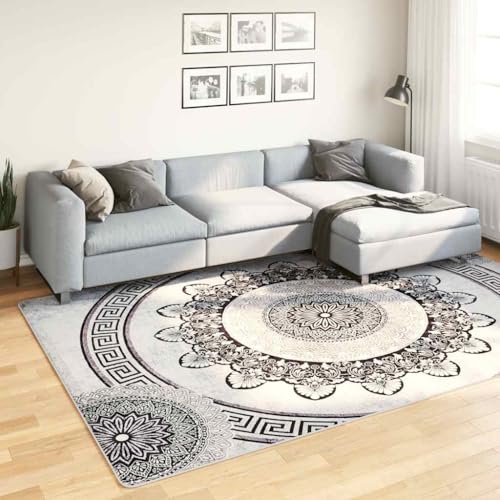 Tapis lavable 190x300 cm antidérapant résistant aux bruits