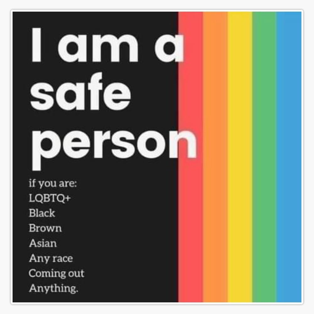 MAGNET I Am A Safe Person Magnetic Vinyl Sticker Decal Magnet 5"