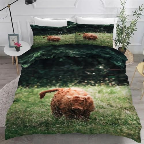Housse de couette 160x200 douce en microfibres imprimé haute définition