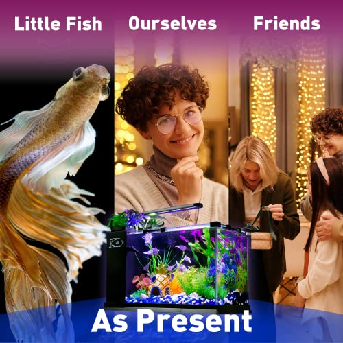 Tararium K400-B 5 Gallon Fish Tank Glass Small Aquarium Starter Kits Self Cleaning thumb #5