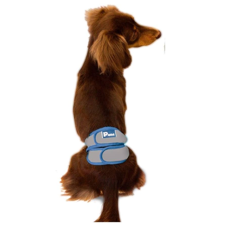 P.oneマナーホルダー 男の子用S 12個／マナーパッド(45枚) S 6個 P.oneマナーホルダー 男の子用S 12個／マナーパッド(45枚) S 6個