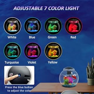 SW PRODUCTS 3-Gallon Aquarium Starter Kit, Ideal for Betta Fish and Other Tropical Fish, Includes Power Filter, LED Light, Hood, and Illustrated User Set Up Guide, Impact-Resistant Plastic