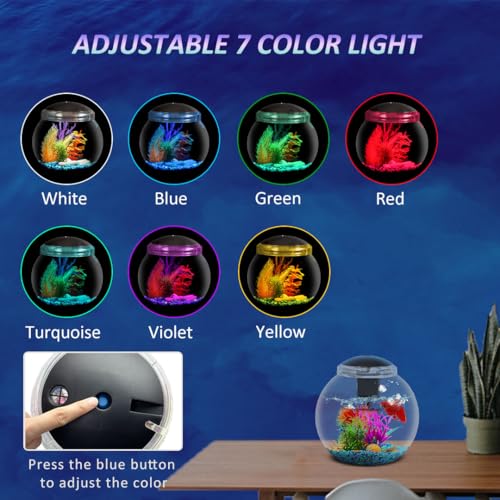 SW PRODUCTS 3-Gallon Aquarium Starter Kit, Ideal for Betta Fish and Other Tropical Fish, Includes Power Filter, LED Light, Hood, and Illustrated User Set Up Guide, Impact-Resistant Plastic by SW PRODUCTS - Image 4
