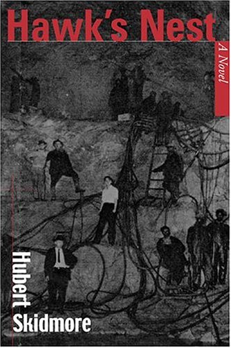 Hawk's Nest:: A Novel (Appalachian Echoes Fiction)