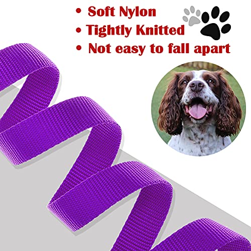 DMISOCHR Dog Harness and Leash Set with Collar Step in No Pull Dog