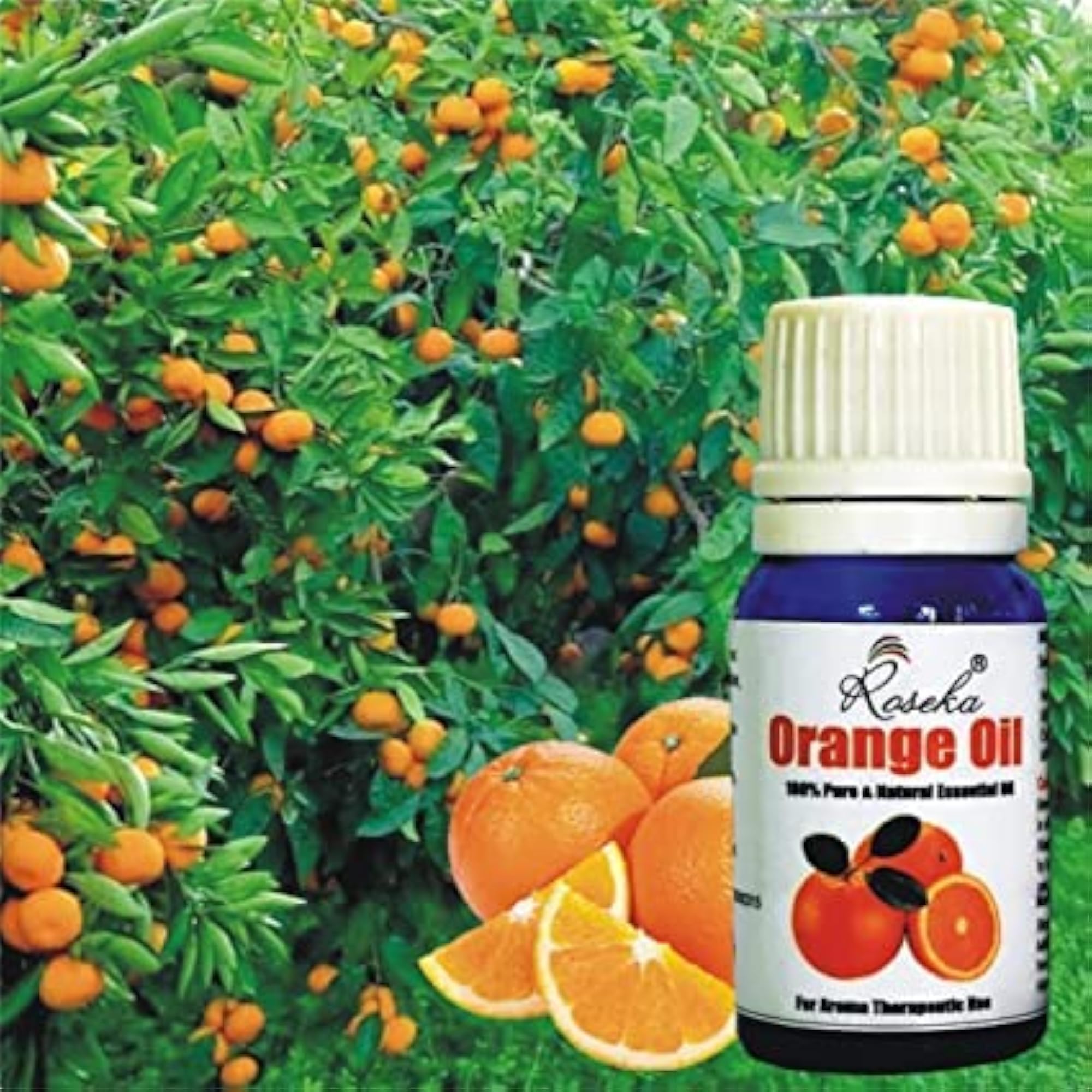Essential Oil Orange & Lemon/Olive Combo Set, 100% Pure