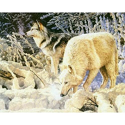 Peinture au diamant 5D loup de rivière broderie strass carrés 30x40 cm