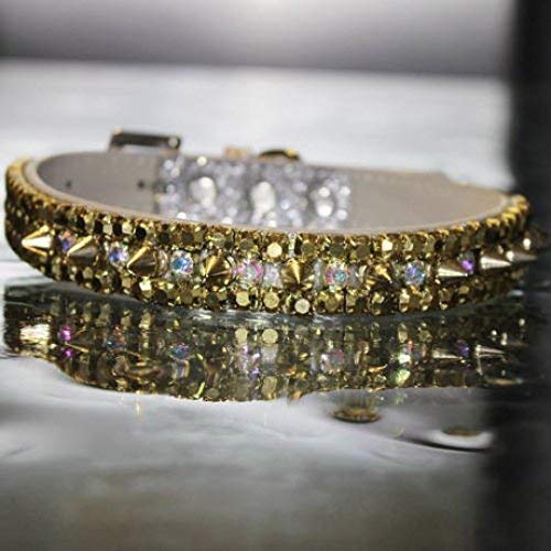 gold spiked collar