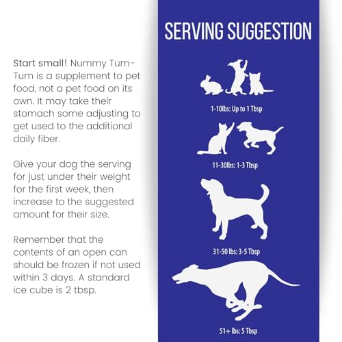 Nummy Tum Tum Pure Pumpkin For Pets, 15 Ounce (Pack of 12)