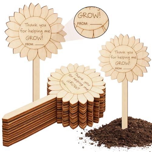 Gerrii 20 Pcs Thank You for Helping Me Grow Succulent