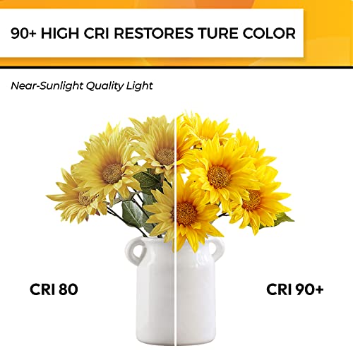 Hizashi E12 Led Bulb Dimmable 40W Equivalent, Candelabra Light Bulbs 90+Cri 4W Daylight 5000K 450Lm B10 Led Candle Bulb With Candelabra Base, Ul Listed, 6 Pack #TOP4