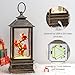Christmas Snow Globe Lantern Indoor Decor Cardinal with Music,6H Timer,USB Lined/Battery Operated Lighted Lantern for Christmas Festival Decoration Giftsts