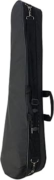 Hard Case for Persian Setar Sehtar Sitar
