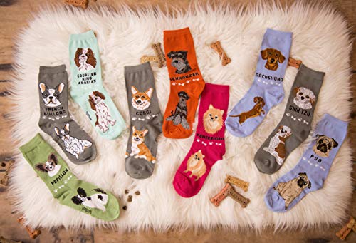 Foozys Unisex Crew Socks | Canine/Dog Collection | Pug #TOP5