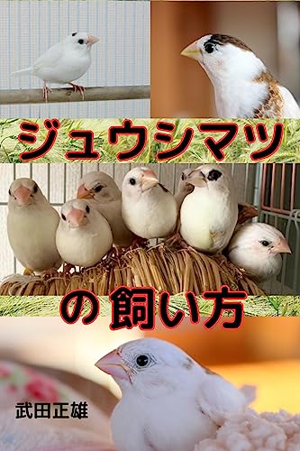 ジュウシマツの飼い方