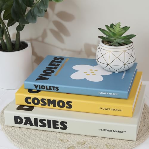 Beautiful Decorative Books Set of 3 - Preppy Room Decor Boxes Enhance Your Coffee Table, Bookshelf or Mantle Decor - Stylish Fake/Faux Books for Modern Home Decoration and Photo Storage