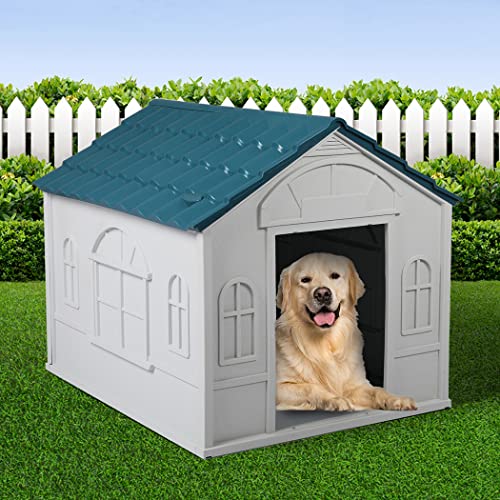 dog houses
