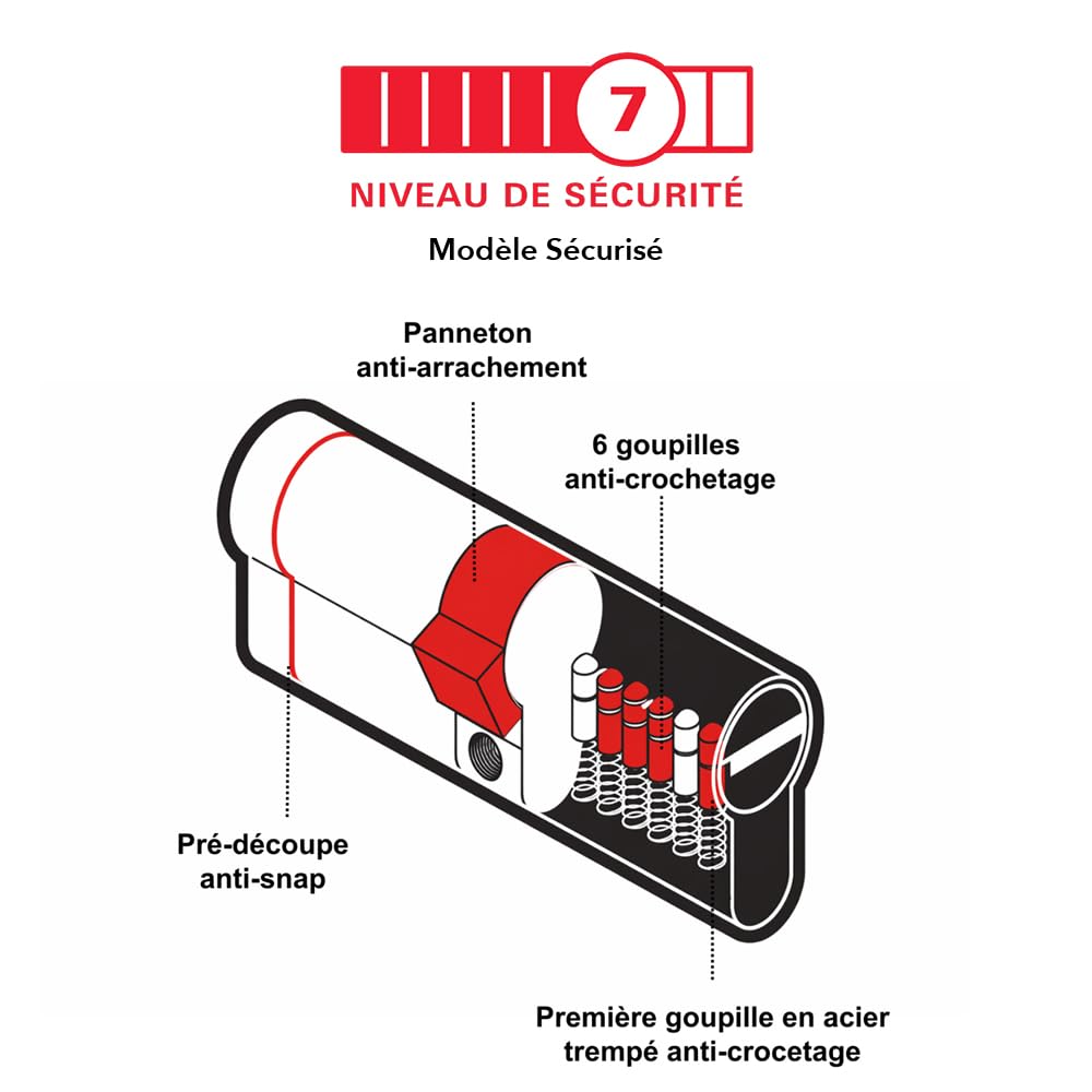 THIRARD Cylindre de serrure Transit 1, Débrayable, 45 x 55 mm, Nickelé | 5 clés réversibles incluses, haute sécurité, finition nickelée, montage facile, compatible porte d'entrée