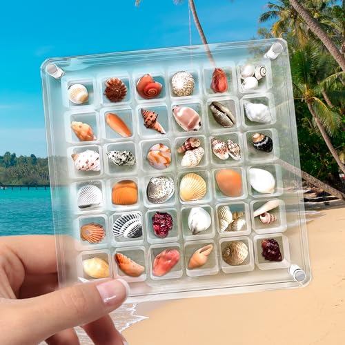 Magnetische Muschelvitrine aus Acryl, 36 Fächer, Muschelvitrine, doppelseitig zu öffnen, magnetische Muschelvitrine aus Acryl für Muscheln, Seesterne, Schmuck, Perlen, Nägel, Schmuck