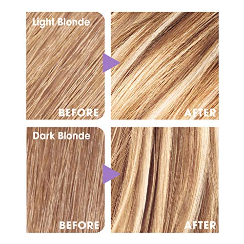SFX L'Oreal Paris Frost and Design Cap Hair Highlights For Long Hair, H85 Champagne, 1 kit