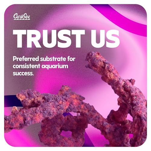 Image of CaribSea LifeRock Shapes - 20 lbs - Natural Aragonite Rock for Aquascaping, Supports Coral Growth & Tank Stability for Marine & Reef Tanks