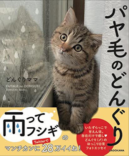 【Amazon.co.jp 限定】パヤ毛のどんぐり(特典:音声&未公開秘蔵 データ配信)