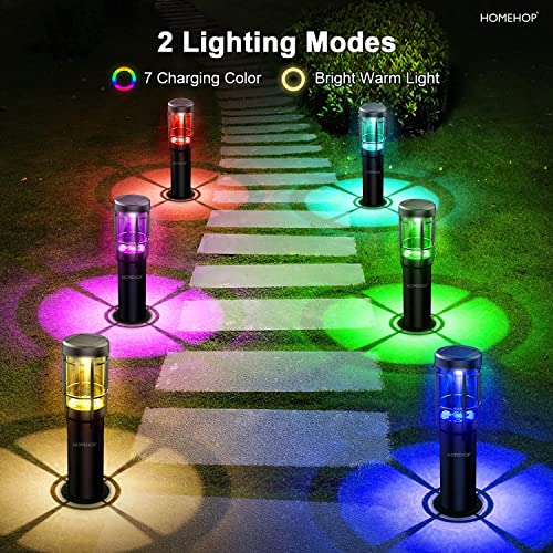 Homehop Solar Powered LED Bollard Pathway Lights for Outdoor Home Garden Waterproof Flickering Decoration Landscape Dancing Lamp (ABS, Warm, Multi-Color)