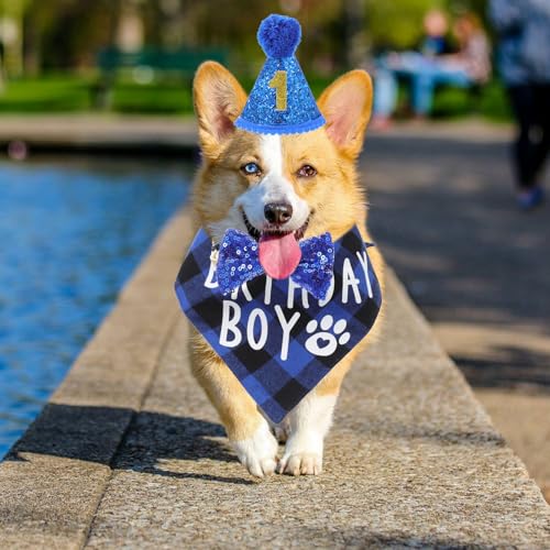 Set de disfraz para perro con bandana y gorro azul miniatura 4
