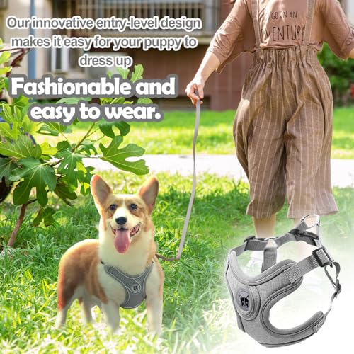 Hundegeschirr und Leine Set, Verstellbares Welpengeschirr, reflektierendes Step in Welpengeschirr, Hundegeschirr Kein Ziehen, Geschirre Kleine Hunde mit Leine, für Kleine Hunde, Katzen